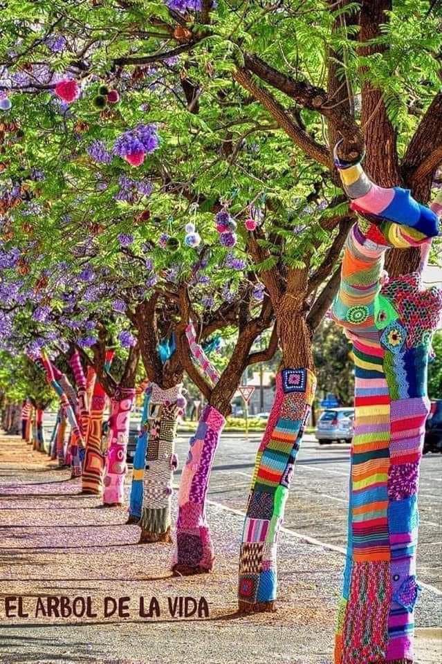 Koreanët veshin pemët për t’i mbrojtur nga&nbsp;acari