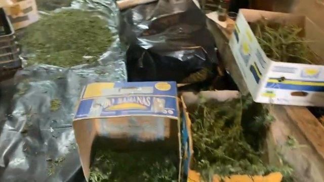 Korçë/Zbulohet magazina me drogë,arrestohen 3 burra edhe 3&nbsp;gra