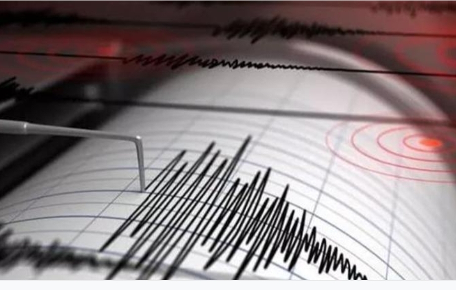 Tërmet 4 ballë,shkundet Lushnja,lëkundjet ndihen në Fier dhe&nbsp;Vlorë