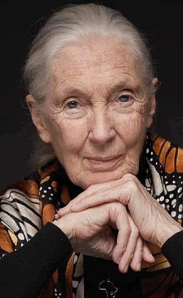 Gratë në Shqipëri jetojnë 5 vite më shumë se&nbsp;burrat