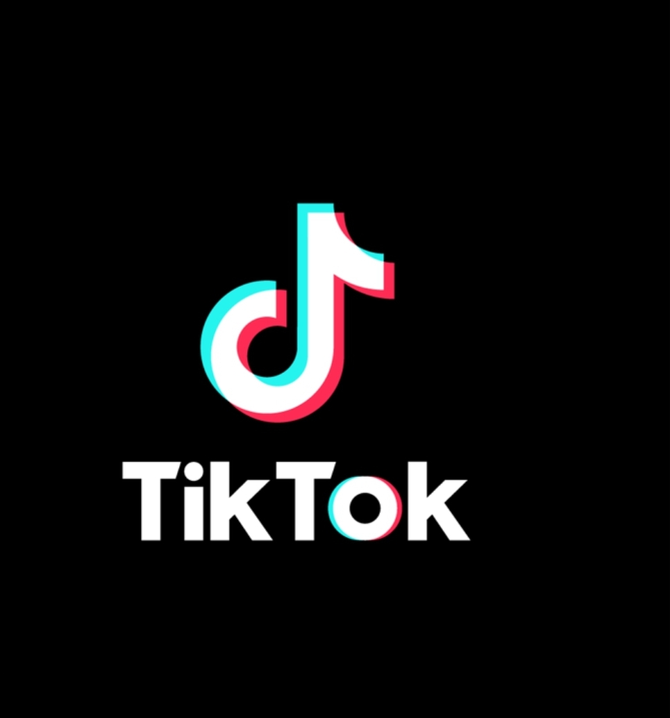 Qeveria mbyll TikTok,është rrugaçi i&nbsp;lagjes