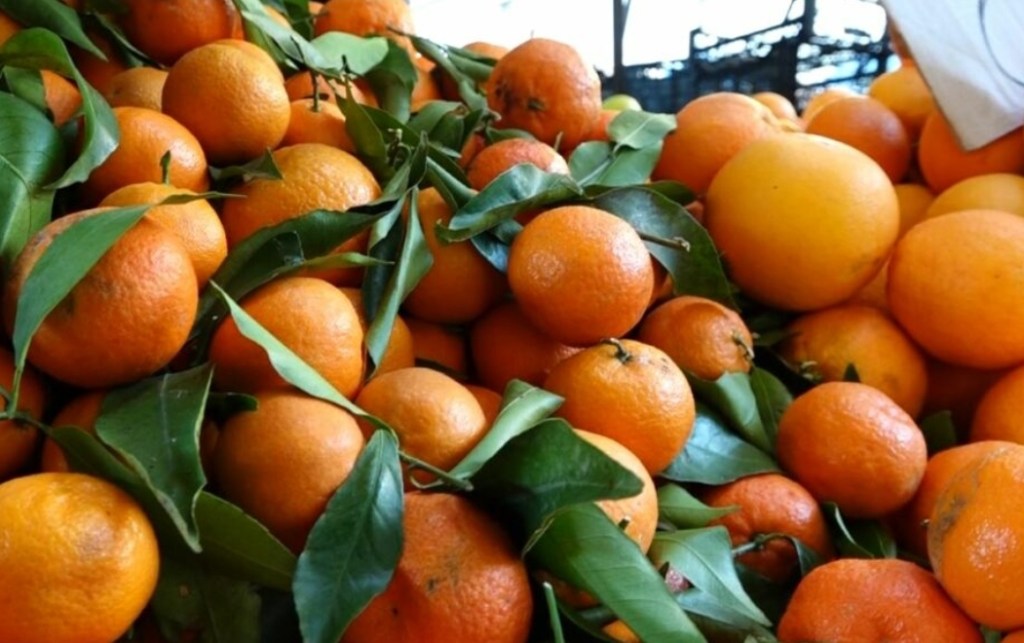 Po konsumoni mandarina? Ministria e Bujqësisë thotë se 85% e prodhimit nuk ka&nbsp;pesticide