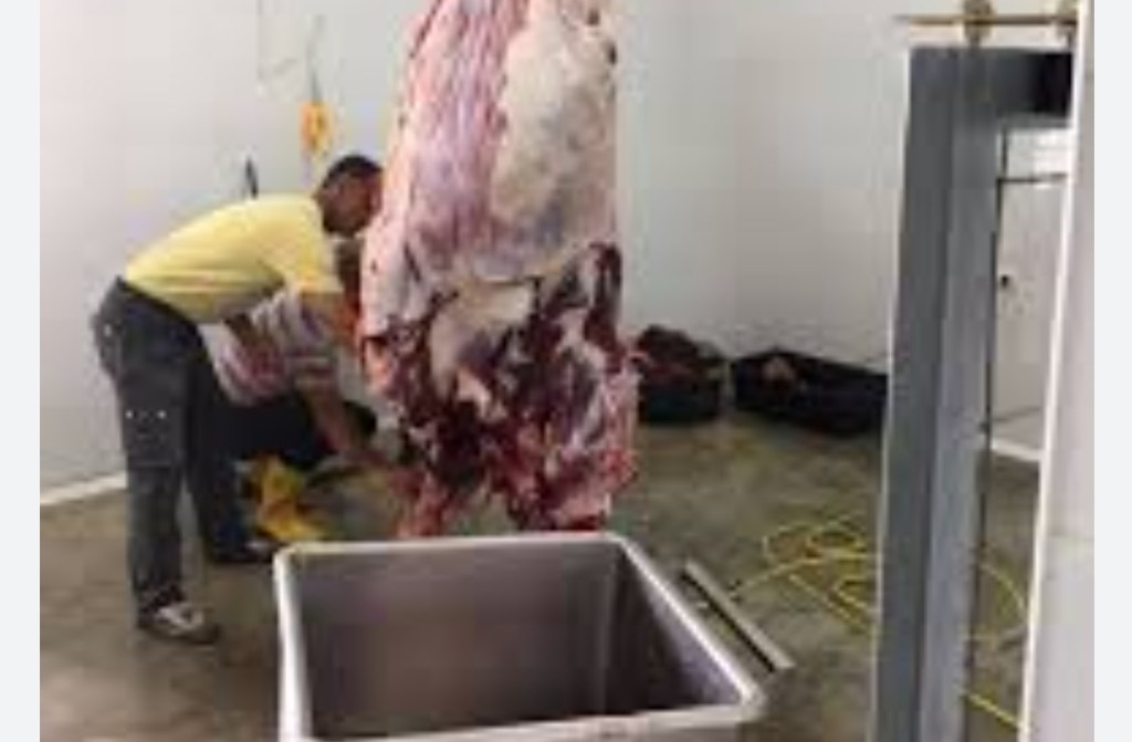 Shqipëria importoi 84 milion euro mish nga Brazili, Greqia, SHBA dhe&nbsp;Italia