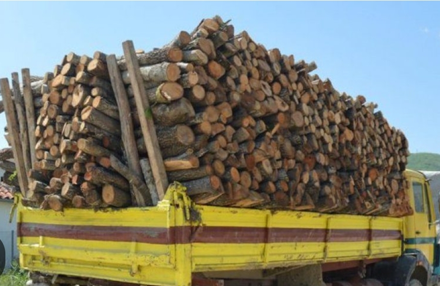 Procedohen 4 inspektorë të Shërbimit Pyjor në Pogradec,ja për çfarë&nbsp;akuzohen