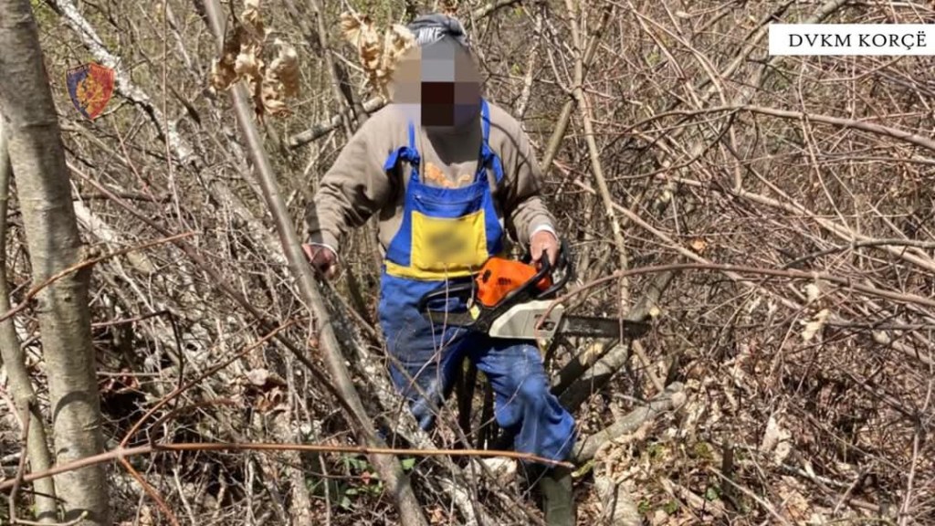 Policia kufitare ruan edhe kufirin,edhe&nbsp;pyllin