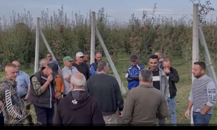 220 fermerë nga Korça mbeten pa naftë,për shkak të gabimit në&nbsp;aplikim