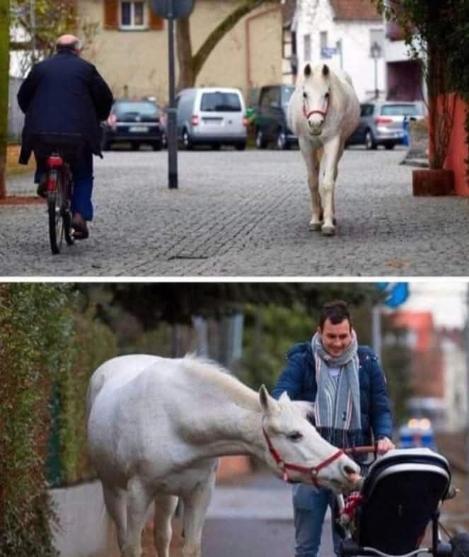 Bota ka vend për të gjithë,lexoni historinë që vjen nga&nbsp;Gjermania
