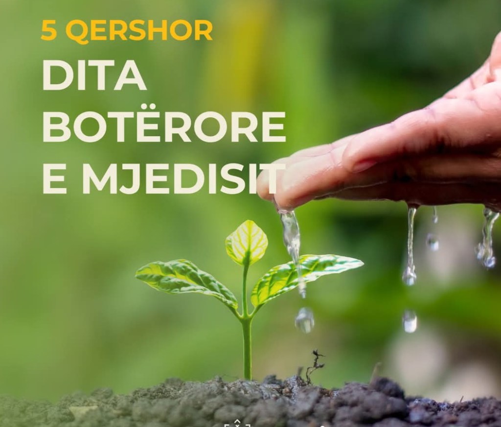 Sot,Dita Botërore e Mjedisit, babëzia po zhduk pasuritë natyrore të&nbsp;Shqipërisë