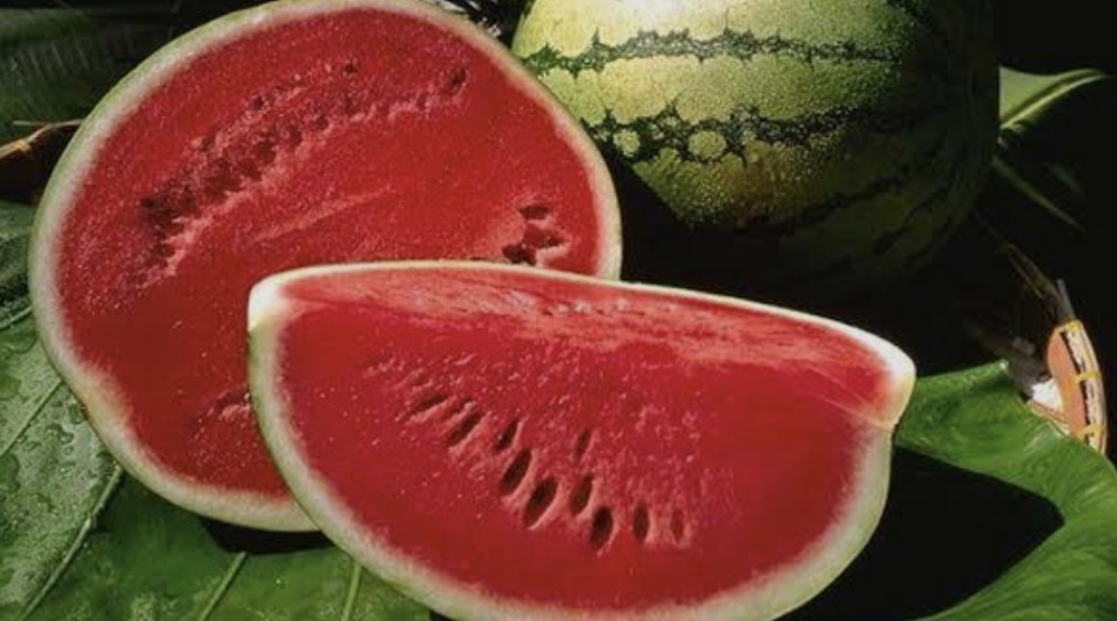 E thonë mjekët: Konsumoni sa më shumë&nbsp;shalqi