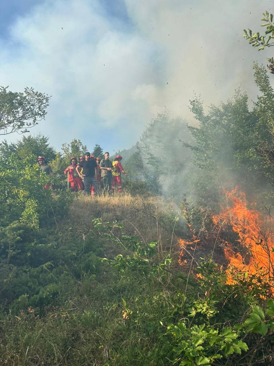 Lajm i fundit:Zjarr edhe në Maliq,flakët i afrohen pyjeve të&nbsp;Strelcës
