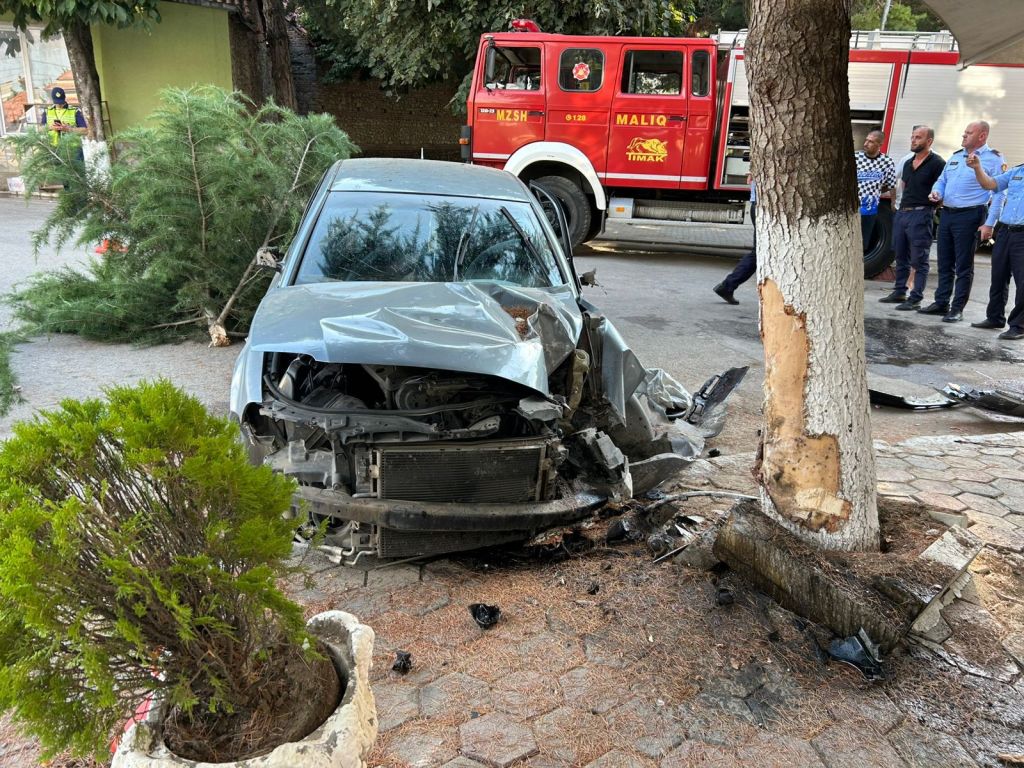 Ka të plagosur në Maliq,mjeti përplaset me&nbsp;pemën