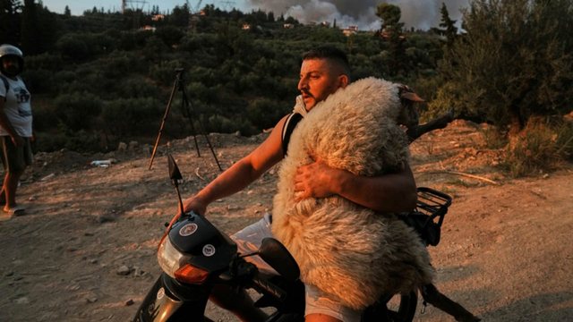 Shpëtoi delen nga zjarri në Greqi, kush është shqiptari nga&nbsp;Tepelena