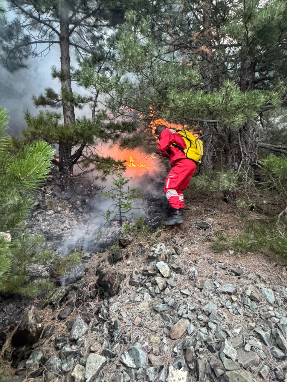 Shqipëria në flakë,50 vatra zjarri&nbsp;aktive