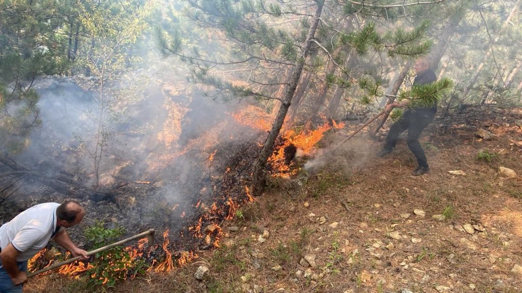 Zjarri i afrohet Parkut të Gërmenjit,dëgjohen shpërthime&nbsp;minash
