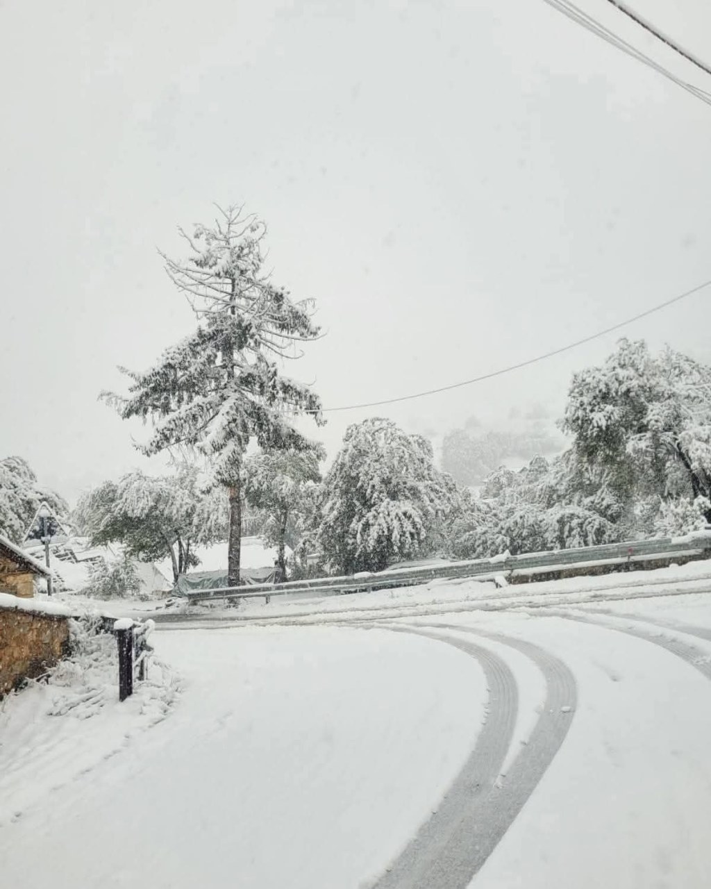 Vjen dimri,bora zbardh zonat malore,ja&nbsp;ku